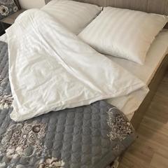 Отель Artsyn, Владивосток, Приморский край