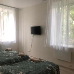 Отель Artsyn, Владивосток, Приморский край