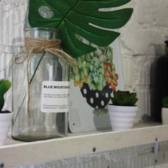 Гостиница Neptunea, Владивосток, Приморский край