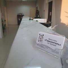 Гостиница Горизонталь, Владивосток, Приморский край