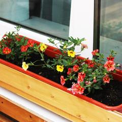 Гостиница Neptunea, Владивосток, Приморский край