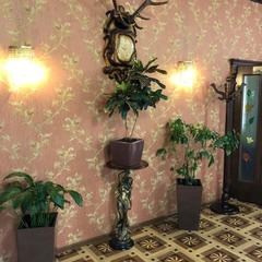 Отель Ренессанс, Владивосток, Приморский край