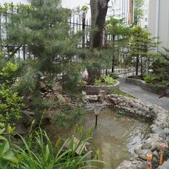 Отель Ренессанс, Владивосток, Приморский край