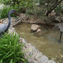 Отель Ренессанс, Владивосток, Приморский край