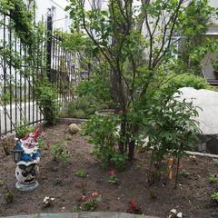 Отель Ренессанс, Владивосток, Приморский край