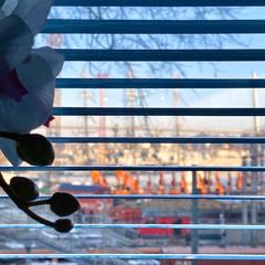 Хостел Абордаж, Владивосток, Приморский край