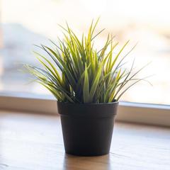 Отель Mina, Владивосток, Приморский край