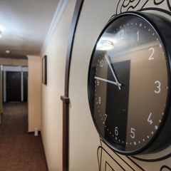 Гостиница РИЧ, Внуково, Московская область