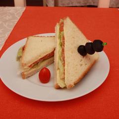 Отель Внуково Москва, Внуково, Московская область