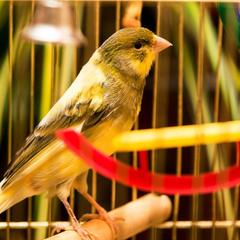 Отель Home, Внуково, Московская область