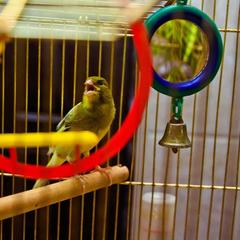 Отель Home, Внуково, Московская область