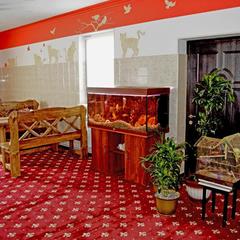 Отель Home, Внуково, Московская область