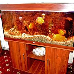 Отель Home, Внуково, Московская область