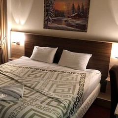 Гостиница Антик, Внуково, Московская область