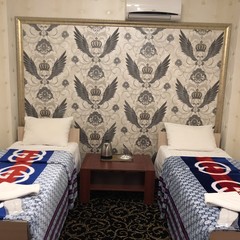 Гостиница Антик, Внуково, Московская область