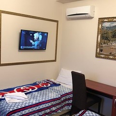 Гостиница Антик, Внуково, Московская область