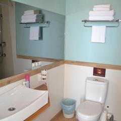 Отель Art Hotel, Внуково, Московская область