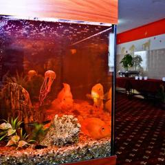 Отель Home, Внуково, Московская область