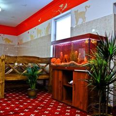 Отель Home, Внуково, Московская область