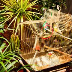 Отель Home, Внуково, Московская область