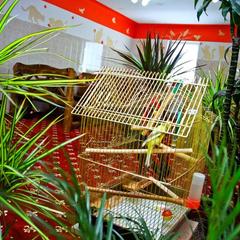 Отель Home, Внуково, Московская область