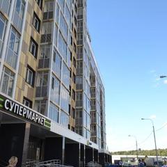 Отель Art Hotel, Внуково, Московская область