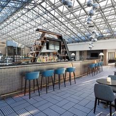 Отель DoubleTree By Hilton Moscow - Vnukovo Airport, Внуково, Московская область