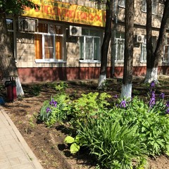 Хостел Подсолнух, Волгоград, Волгоградская область