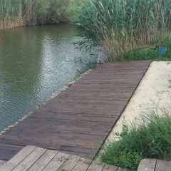 База отдыха Простоквашино, Волгоград, Волгоградская область