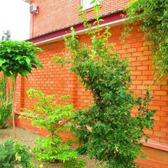 Гостиница Отель, Волгодонск, Ростовская область