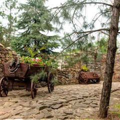 База отдыха Айвенго, Волгодонск, Ростовская область