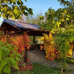 Гостевой дом Малинка, Волгодонск, Ростовская область