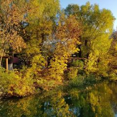Гостевой дом Малинка, Волгодонск, Ростовская область