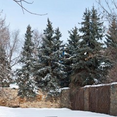 База отдыха Айвенго, Волгодонск, Ростовская область