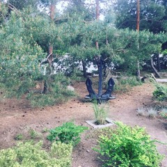 База отдыха Айвенго, Волгодонск, Ростовская область