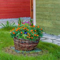 Гостевой дом Малинка, Волгодонск, Ростовская область