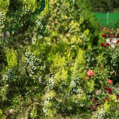 Гостевой дом Малинка, Волгодонск, Ростовская область