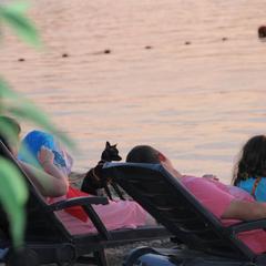 Гостевой дом Малинка, Волгодонск, Ростовская область