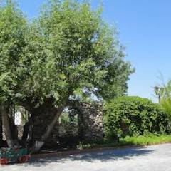 Туристический комплекс Волжский, Волжский, Волгоградская область