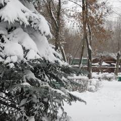 Туристический комплекс Волжский, Волжский, Волгоградская область