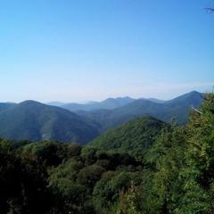 Гостевой дом Платонов, Волконка, Краснодарский край