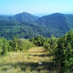 Гостевой дом Платонов, Волконка, Краснодарский край