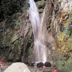 Гостевой дом Платонов, Волконка, Краснодарский край