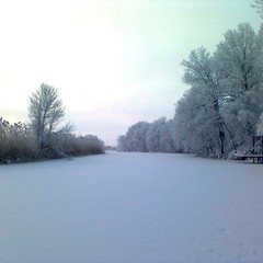 Турбаза Ласточка, Волна-Шепелиновка, Воронежская область