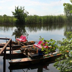 Турбаза Ласточка, Волна-Шепелиновка, Воронежская область