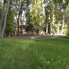 Турбаза Ласточка, Волна-Шепелиновка, Воронежская область