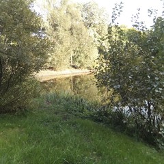 Турбаза Ласточка, Волна-Шепелиновка, Воронежская область