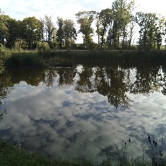 Турбаза Ласточка, Волна-Шепелиновка, Воронежская область