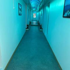 Отель Оазис, Солоники, Краснодарский край