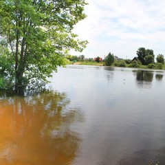 Турбаза Ласточка, Волна-Шепелиновка, Воронежская область